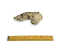 F 00104
<br/>
<br/>
<em></em>